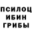 Галлюциногенные грибы GOLDEN TEACHER Club Almagro