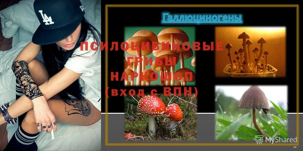 дживик Белоозёрский
